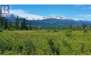 Land for Sale, 3 O'Dwyer Road #LOT, Valemount, BC