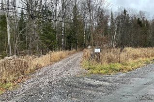 Commercial Land for Sale, 48 Spring Hill Rd, McKellar, ON