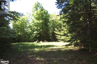 Commercial Land for Sale, 2823 Harburn Road, Dysart et al, ON