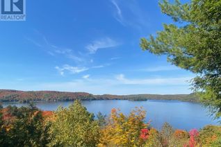 Commercial Land for Sale, 0 Highway 35 Highway, Lake of Bays (Ridout), ON