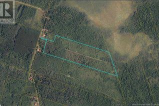 Property for Sale, 49 Acres Ch St. Athanase, Acadieville, NB