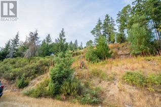 Vacant Residential Land for Sale, Lot 13 Teal Crt, Lake Cowichan, BC