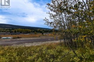 Commercial Land for Sale, 292 Blackstock Road, 100 Mile House, BC