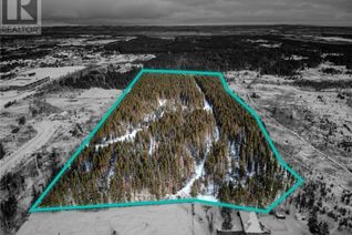 Land for Sale, 0 Carl Street, Hanmer, ON