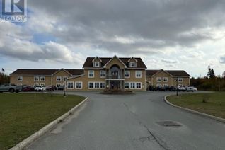 Nursing/Hospital Non-Franchise Business for Sale, 100 Magee Road, Gander, NL