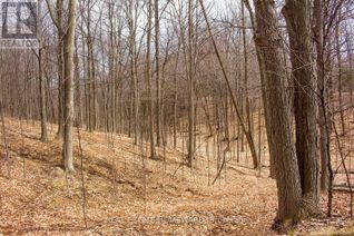 Commercial Land for Sale, 3005 Concession Road 4, Adjala-Tosorontio (Hockley), ON