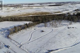 Commercial Farm for Sale, 424 Township Road, Rural Ponoka County, AB