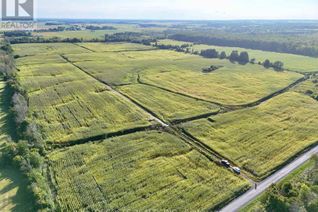 Land for Sale, N/A Stardale Road E, Champlain, ON