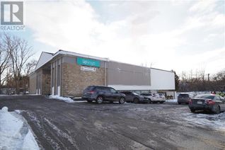 Commercial/Retail Property for Sale, 100 E Dundas Street E, Paris, ON