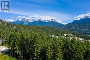 Commercial Land for Sale, 8570 Ashleigh Mcivor Drive, Whistler, BC