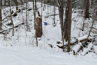 Land for Sale, 222 Harding Road N, Lanark Highlands, ON