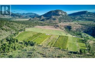 Commercial Farm for Sale, 298 Test Orchard Road, Oliver, BC