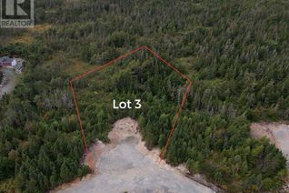 Land for Sale, 0 Beaver Pond Road Road #Lot 3, Cape Broyle, NL