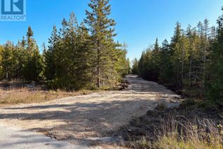 Commercial Land for Sale, 155 Bradley Drive, Northern Bruce Peninsula, ON