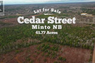 Commercial Land for Sale, Lot Cedar Street, Minto, NB