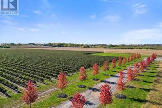 Land for Sale, N/A Queenston Road E #N/A, Niagara-on-the-Lake (104 - Rural), ON