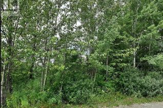 Commercial Land for Sale, 821 Murray Road, Fort St. James, BC