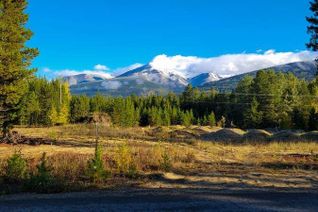 Land for Sale, 1075 18th Avenue, Valemount, BC