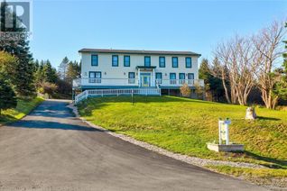 Non-Franchise Business for Sale, 428 Main Road N, Mount Carmel, NL