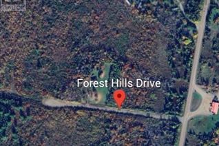 Commercial Land for Sale, Lot 13 Forest Hill Drive, Central West River, NS