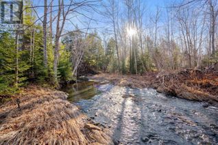 Commercial Land for Sale, Pine Tree Road, Pine Tree, NS Commercial Land for Sale, Pine Tree Road, Pine Tree, NS