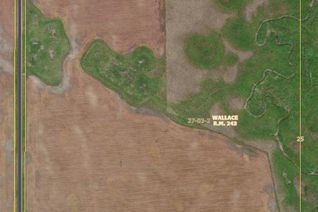 Commercial Farm for Sale, Rm Of Wallace Farm, Wallace Rm No. 243, SK