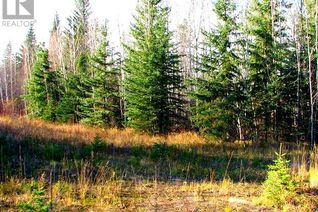 Commercial Land for Sale, Lot 4 Old Mission Road, Lac La Biche, AB