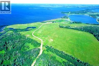 Commercial Land for Sale, Ne 9-68-13-W4m Twp Rd 681 Range Rd 133, Lac La Biche, AB