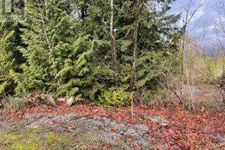 Commercial Land for Sale, 25415 Bosonworth Avenue, Maple Ridge, BC