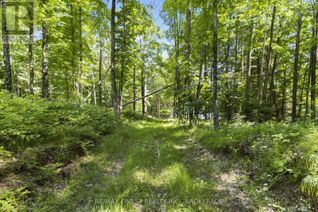 Land for Sale, Lot 14 -15 0 Thunder Lane, Central Frontenac (Frontenac Centre), ON