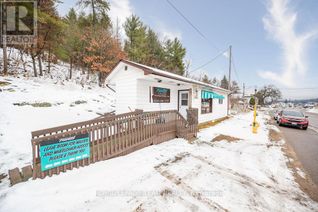 Commercial/Retail Property for Sale, 19666 Opeongo Line N, Madawaska Valley, ON