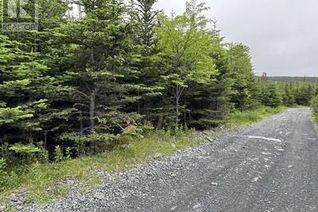 Commercial Land for Sale, 249-269 Forest Road Extension, Carbonear, NL