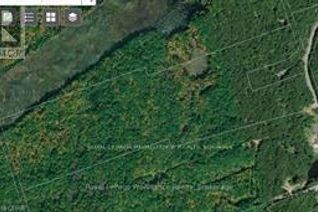 Land for Sale, 338 Glen Allen Road S, Marmora and Lake, ON