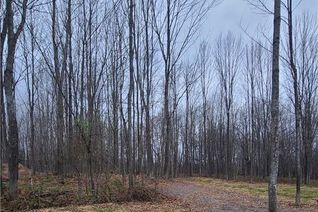 Land for Sale, 130 Maple Ridge Road, Georgian Bluffs, ON