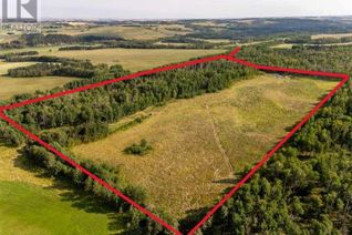 Land for Sale, 40 Acres Range Road 44, Rural Mountain View County, AB