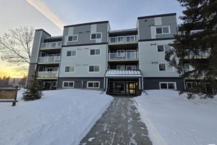 Condo Apartment for Sale, 207 9504 182 St Nw, Edmonton, AB