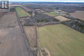 Commercial Farm for Sale, 901 Jig Street, North Grenville, ON