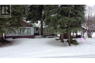 Detached House for Sale, 223 Riverside Avenue, Salmo, BC