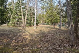 Land for Sale, 60 Robert Street S, Wasaga Beach, ON