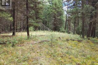 Land for Sale, 4215 Back Valley Road #DL, 100 Mile House, BC