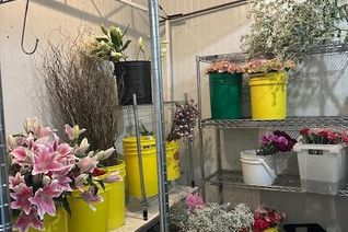 Florist/Gifts Non-Franchise Business for Sale, 5210 Finch Avenue E, Toronto (Agincourt North), ON