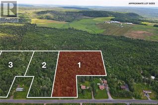 Commercial Land for Sale, Lot 2023-1 Route 617, Burtts Corner, NB