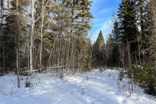 Commercial Land for Sale, 2 Buckingham Trail, Big River Rm No. 555, SK