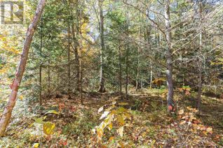 Commercial Land for Sale, Lot 17 Nokomis Beach Rd, Sault Ste. Marie, ON