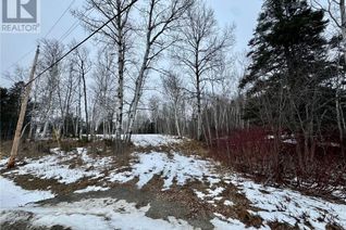 Property for Sale, 307 Doyleville Road, Lorne, NB