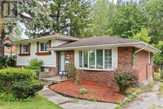 Sidesplit for Sale, 4665 Malden, Windsor, ON