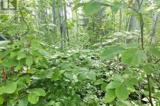 Commercial Land for Sale, Part 13 Girl Guide Road, Coleman, ON