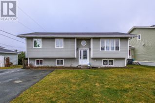 House for Sale, 8 Mcfayden Street, Torbay, NL