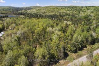 Land for Sale, 2411 PAUGH LAKE Rd, Madawaska Valley, ON