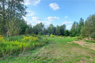 Vacant Residential Land for Sale, 00 SCHIMMENS PIN 575050046 Rd, Brudenell, Lyndoch and Raglan, ON